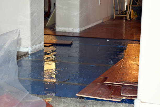 Professional Burst Pipe Cleanup technician working in Walls, MS